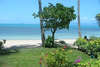 Coconut Grove 
